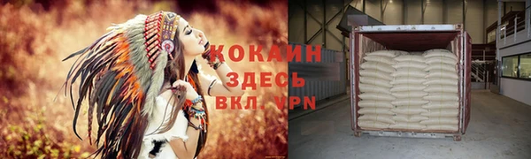 трава Белокуриха