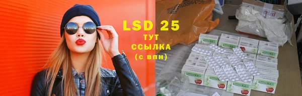 трава Белокуриха