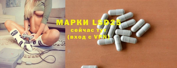 трава Белокуриха