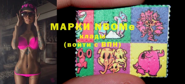 трава Белокуриха