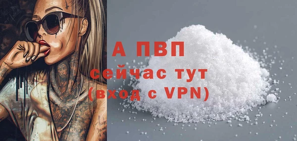 трава Белокуриха
