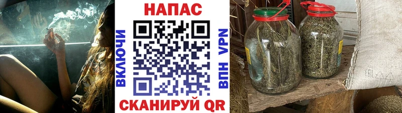 Шишки марихуана гибрид  где продают наркотики  Волчанск 